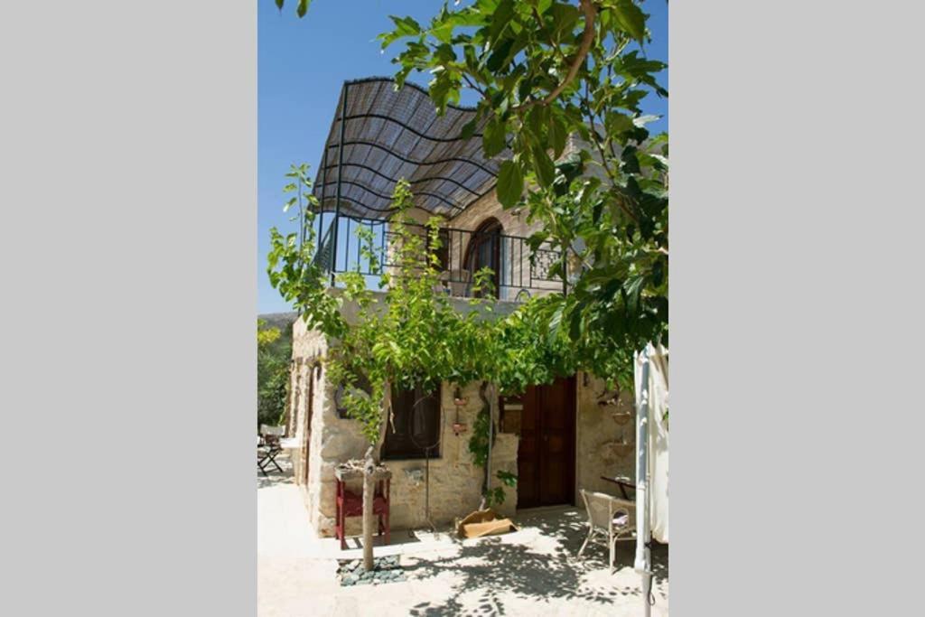 فيلا Petite Olive House سيتيا المظهر الخارجي الصورة